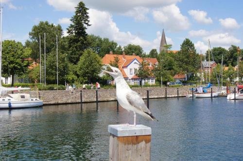 Ostsee Ferienh user — Waabs — photo 4