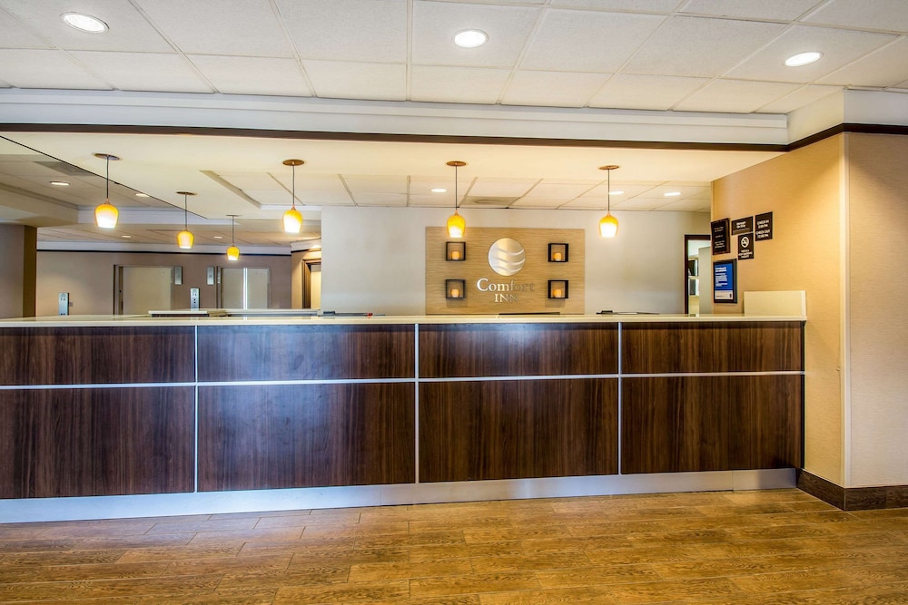 The Adventure Hotel by the parks - photo 6