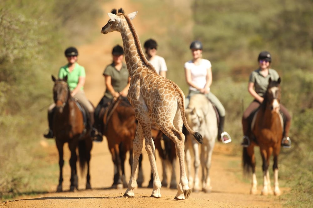 Pakamisa Private Game Reserve — 5-Star Luxury Hotel in Pongola, South Africa