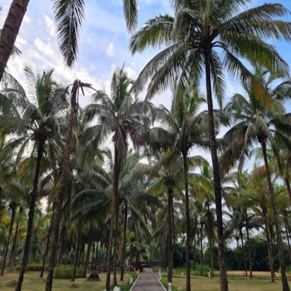 Visava Riverside - carbon neutral hotel in Mahad