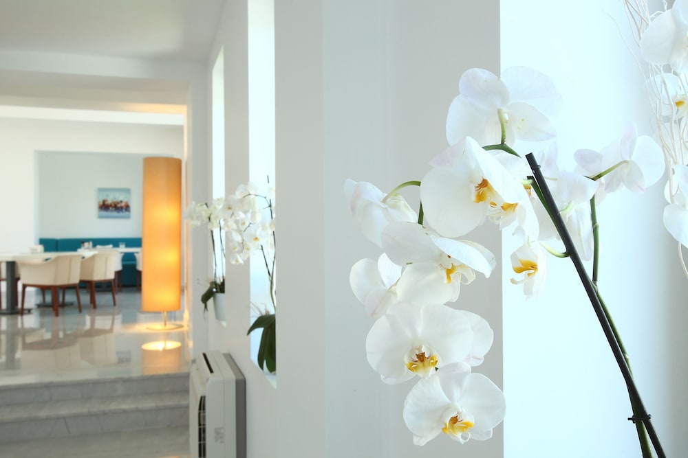 Saraya Bodrum Hotel — Bodrum — photo 3
