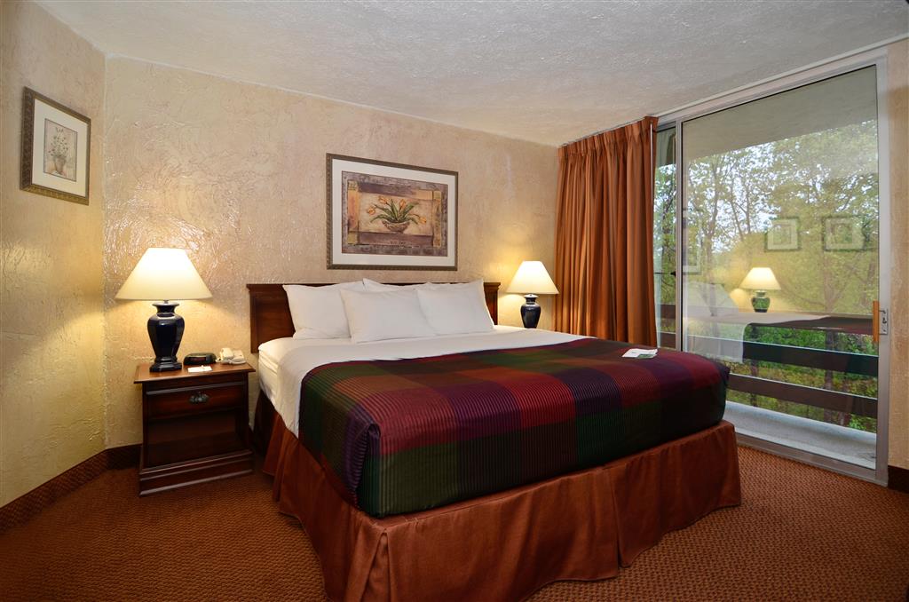 Best Western Branson Inn And Conference Center - photo 24