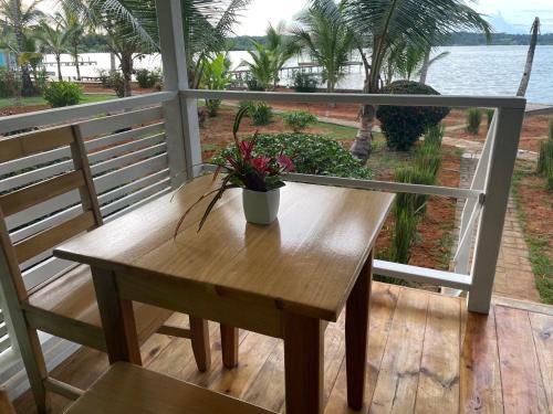 Dolphin Blue Paradise — Bocas Del Toro — photo 4