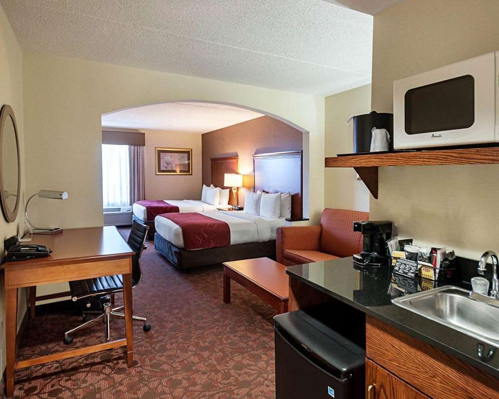 Comfort Suites Dulles Airport - photo 13