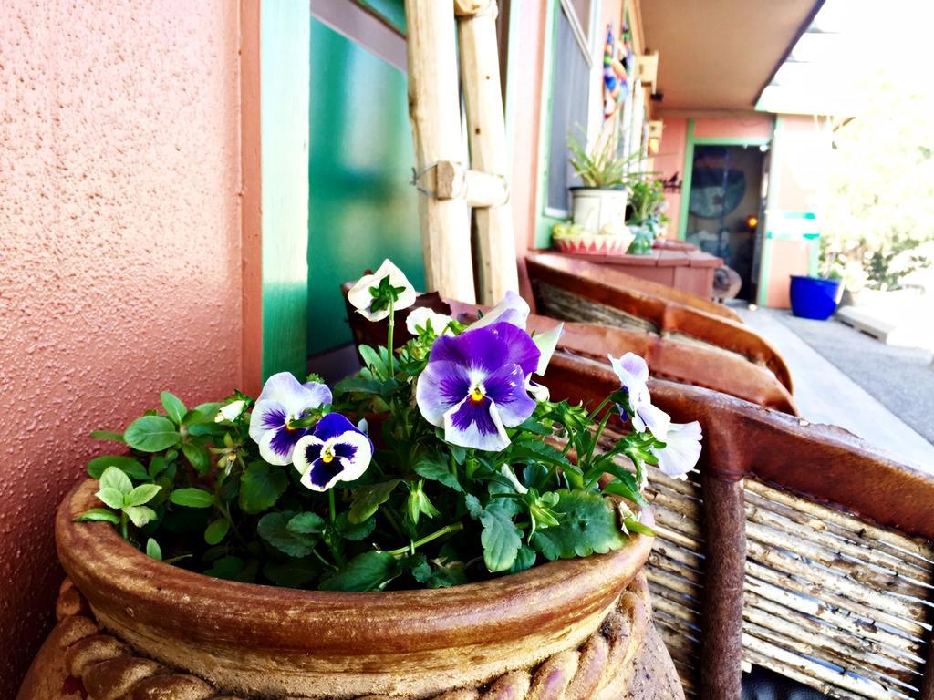 Rio Grande Motel - photo 15