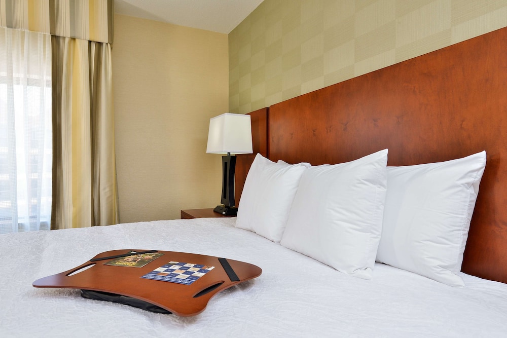 Hampton Inn Detroit Auburn Hills South - photo 8