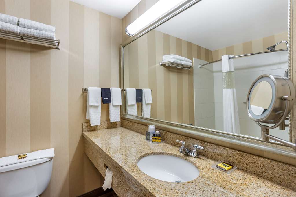 Best Western Plus University Park Inn & Suites - photo 25