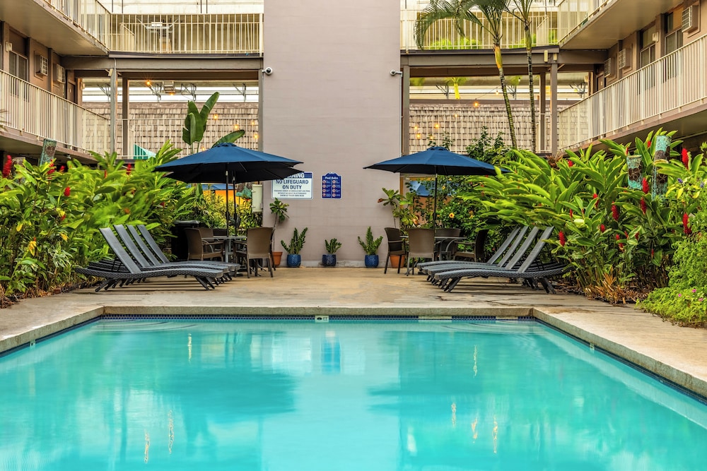 Pacific Marina Inn Airport Hotel - photo 31