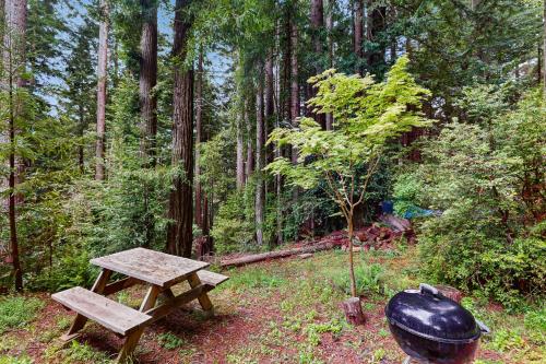 Serene Redwood Retreat - photo 3