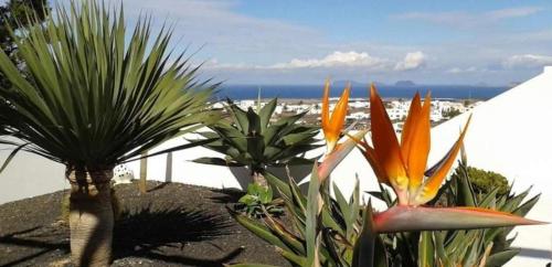 Casa Lancelot — 4-Star Luxury Hotel in Tinajo, Spain