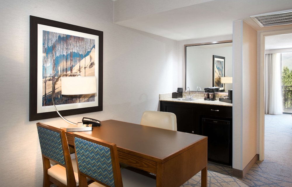 Embassy Suites by Hilton Colorado Springs - photo 36