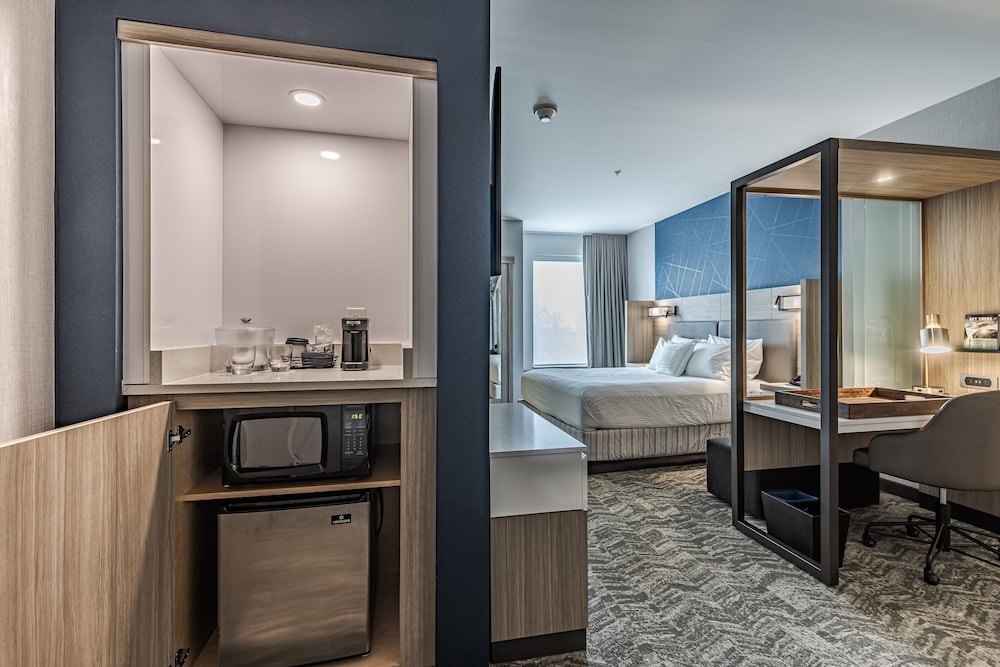 SpringHill Suites by Marriott Detroit Sterling Heights - photo 11
