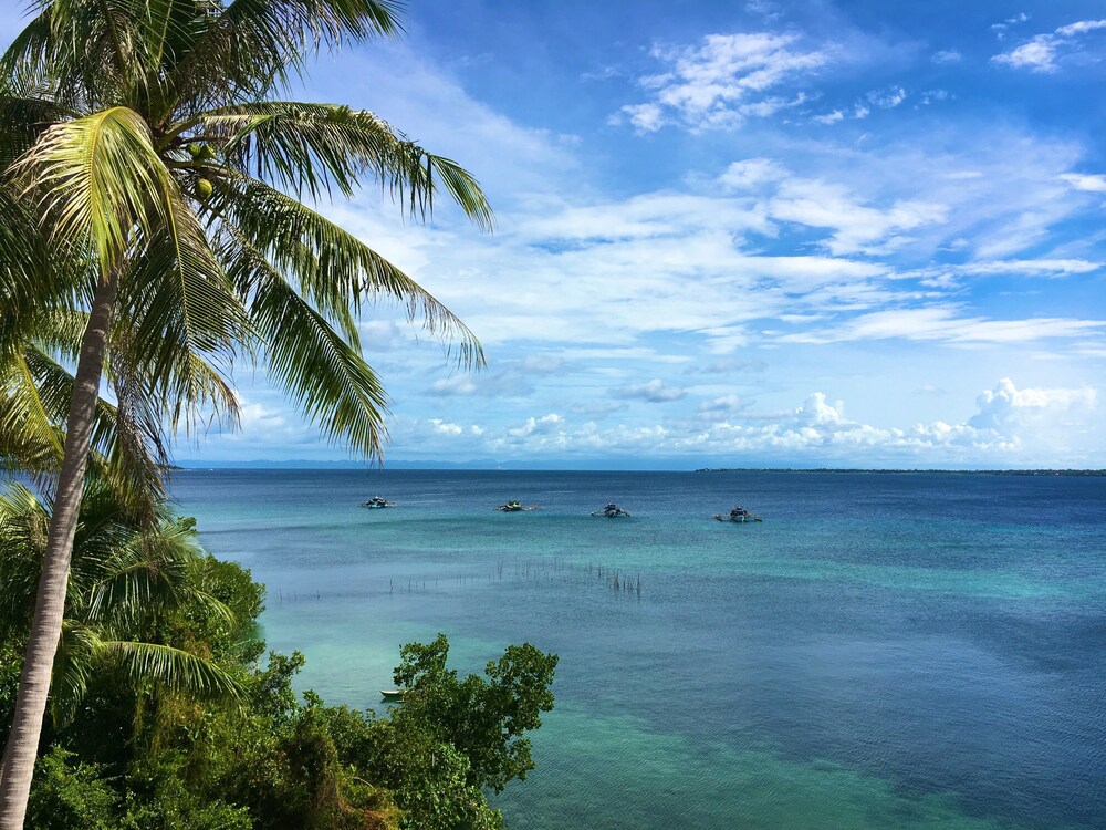 Sandingan Dive Resort — Loon