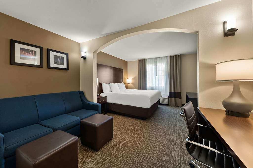 Comfort Inn & Suites Atoka - photo 9