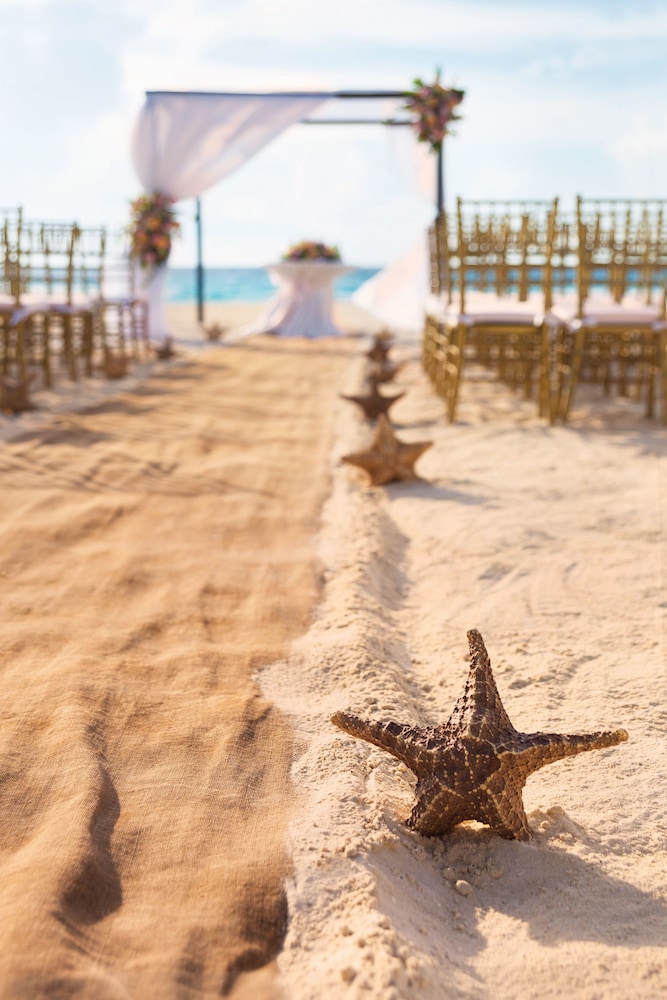 Outdoor Wedding Area