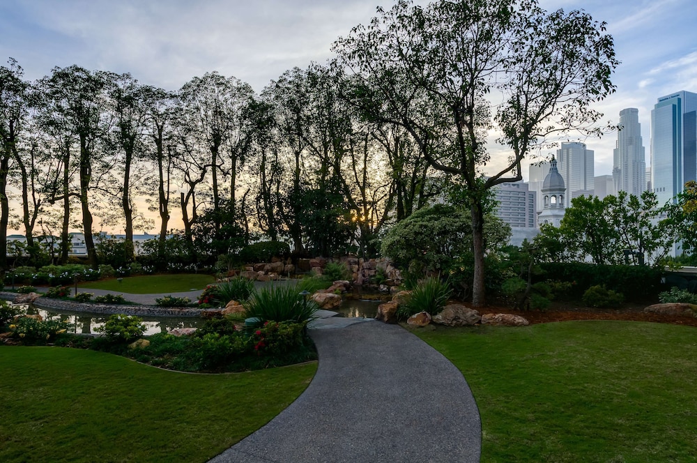 מראה חיצוני