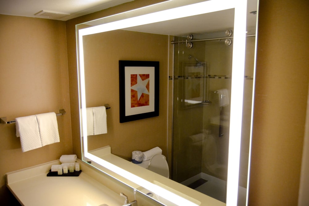 Embassy Suites by Hilton Austin Downtown South Congress - photo 55