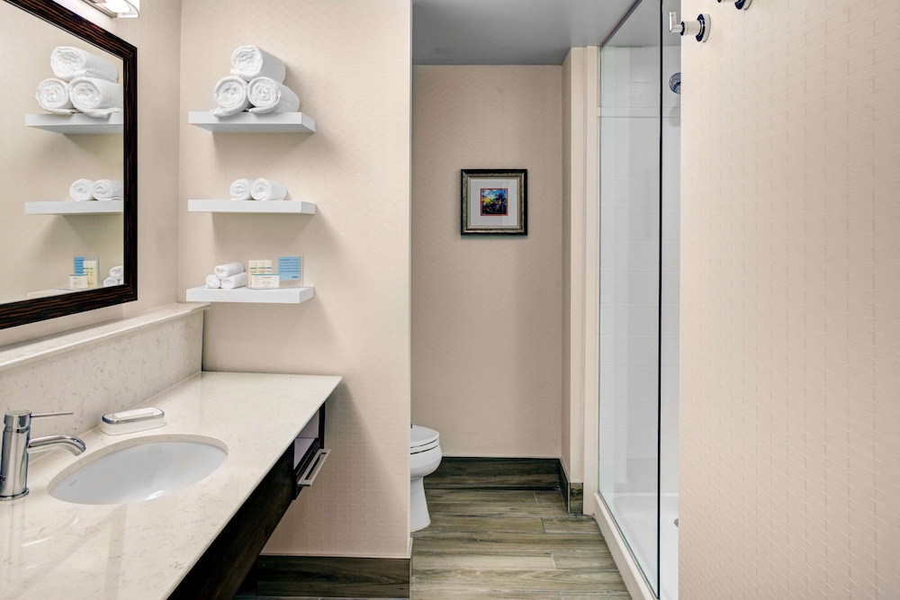Hampton Inn & Suites by Hilton Atlanta Perimeter Dunwoody - photo 24