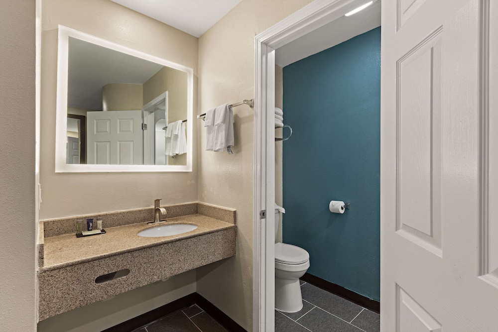 Red Roof Inn Atlanta East Lithonia - photo 19