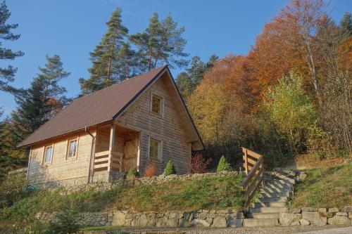 Bukowinka in Krempna, Poland