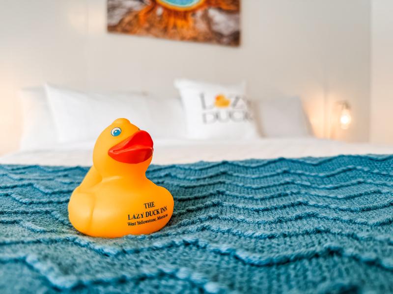 The Lazy Duck Inn - photo 5