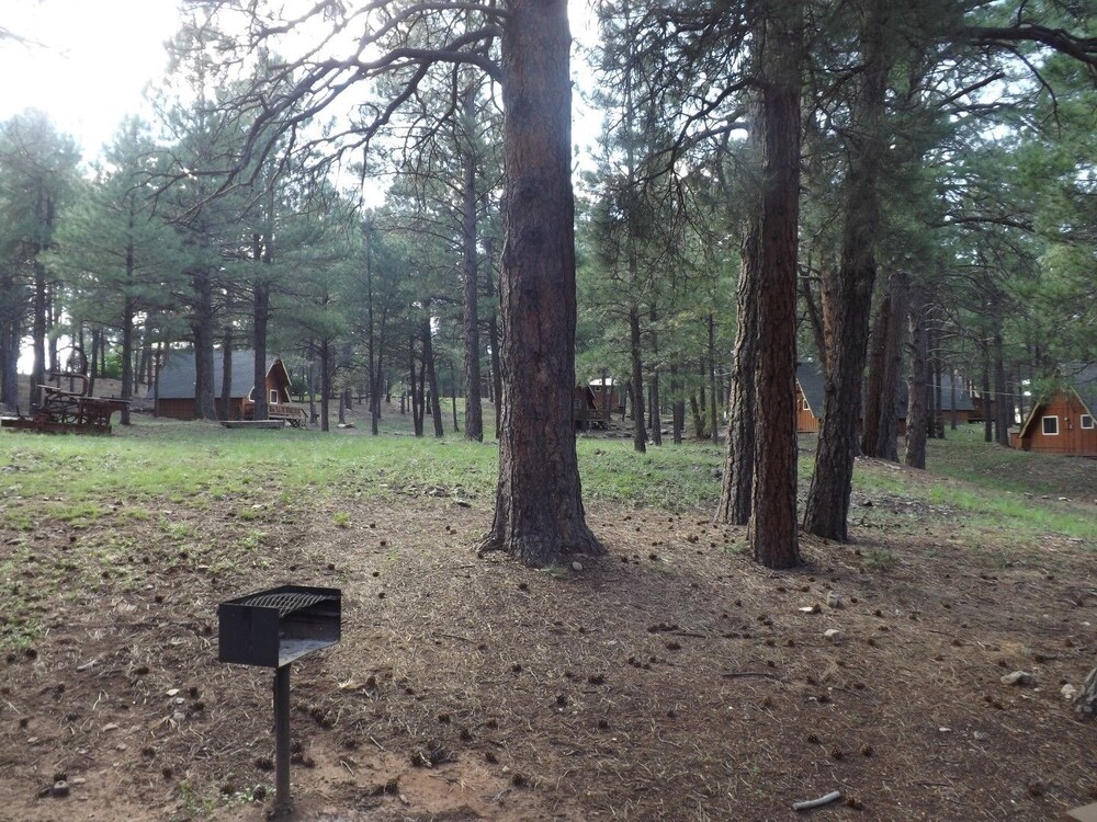 Arizona Mountain Inn and Cabins - photo 151