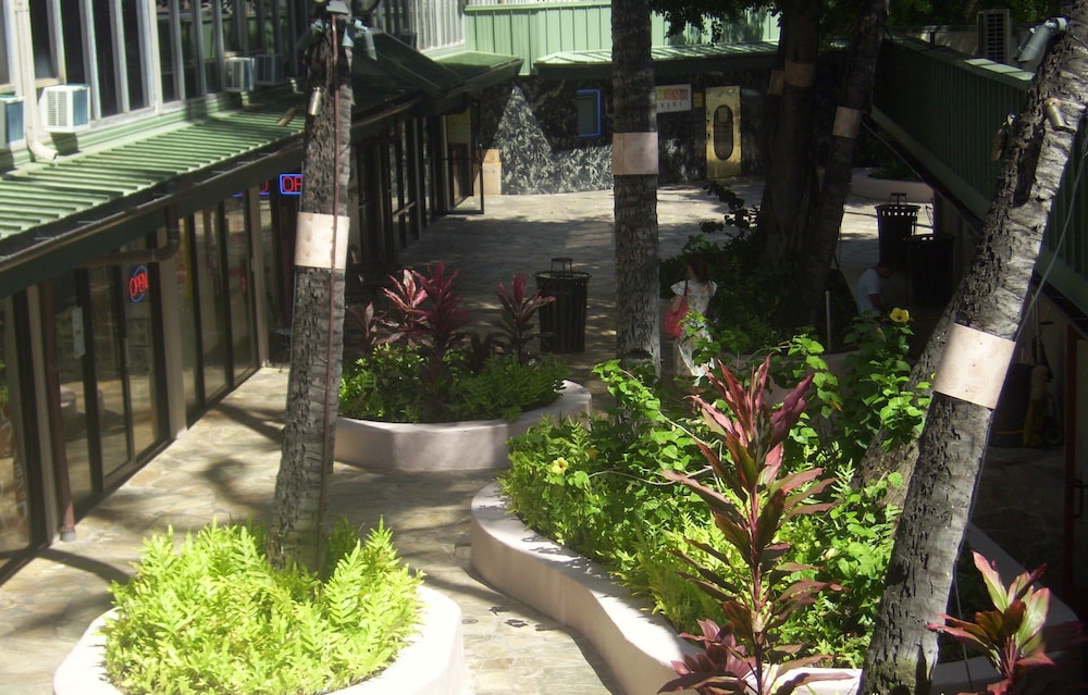 Kuhio Banyan Club - photo 47
