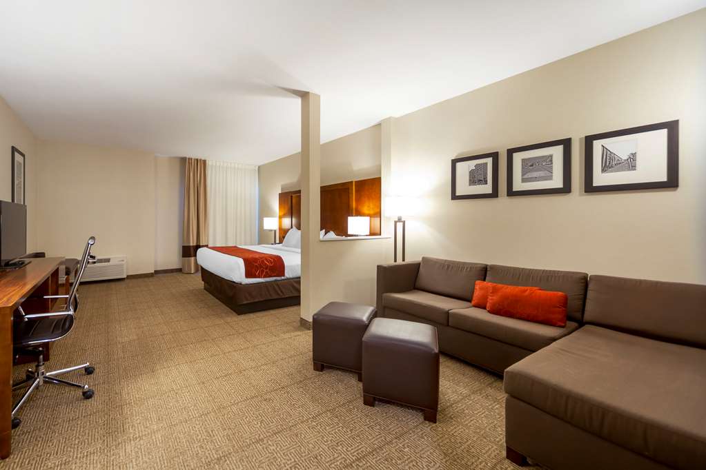 Comfort Suites La Vista Omaha - photo 11