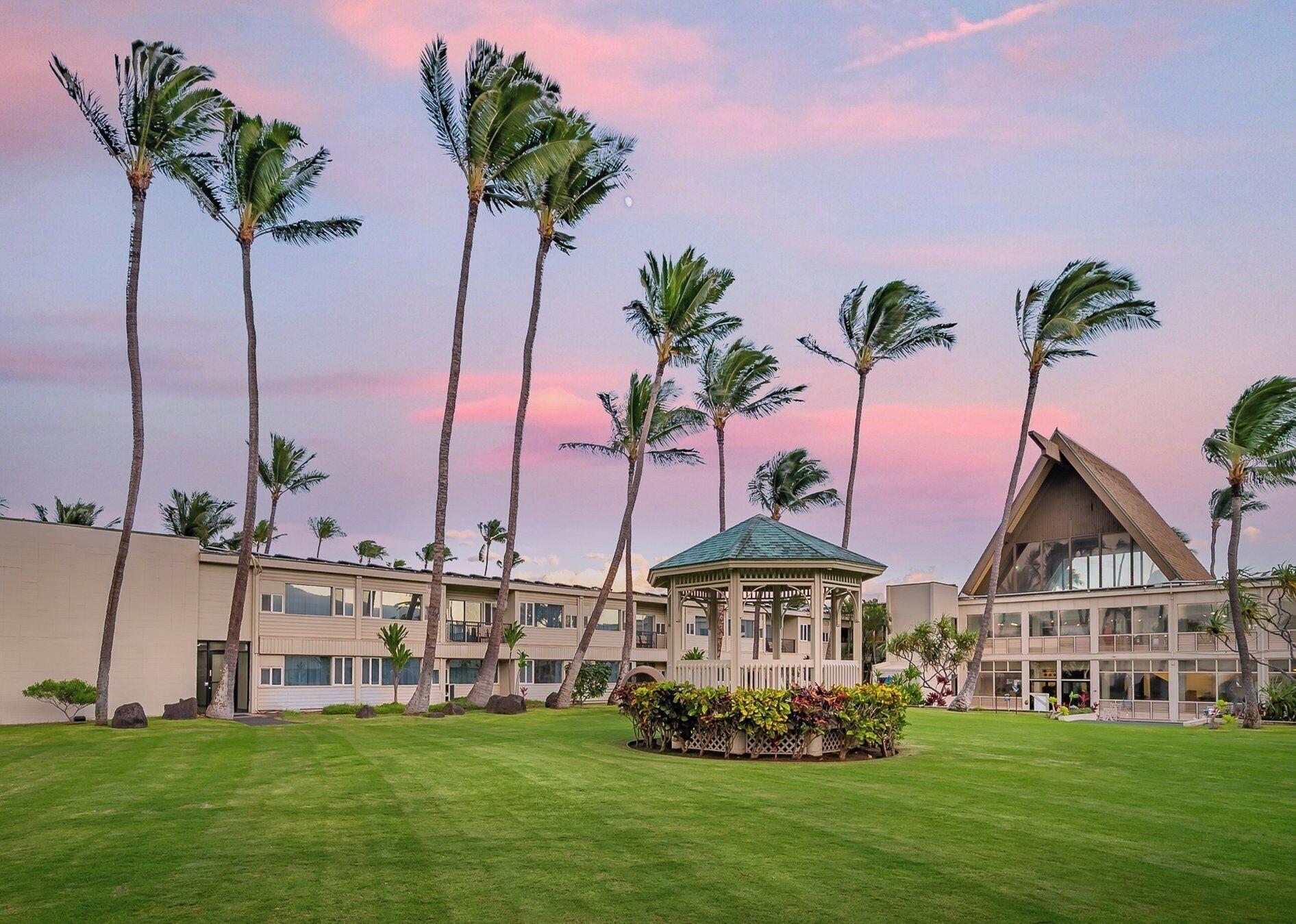 Maui Beach Hotel - photo 28