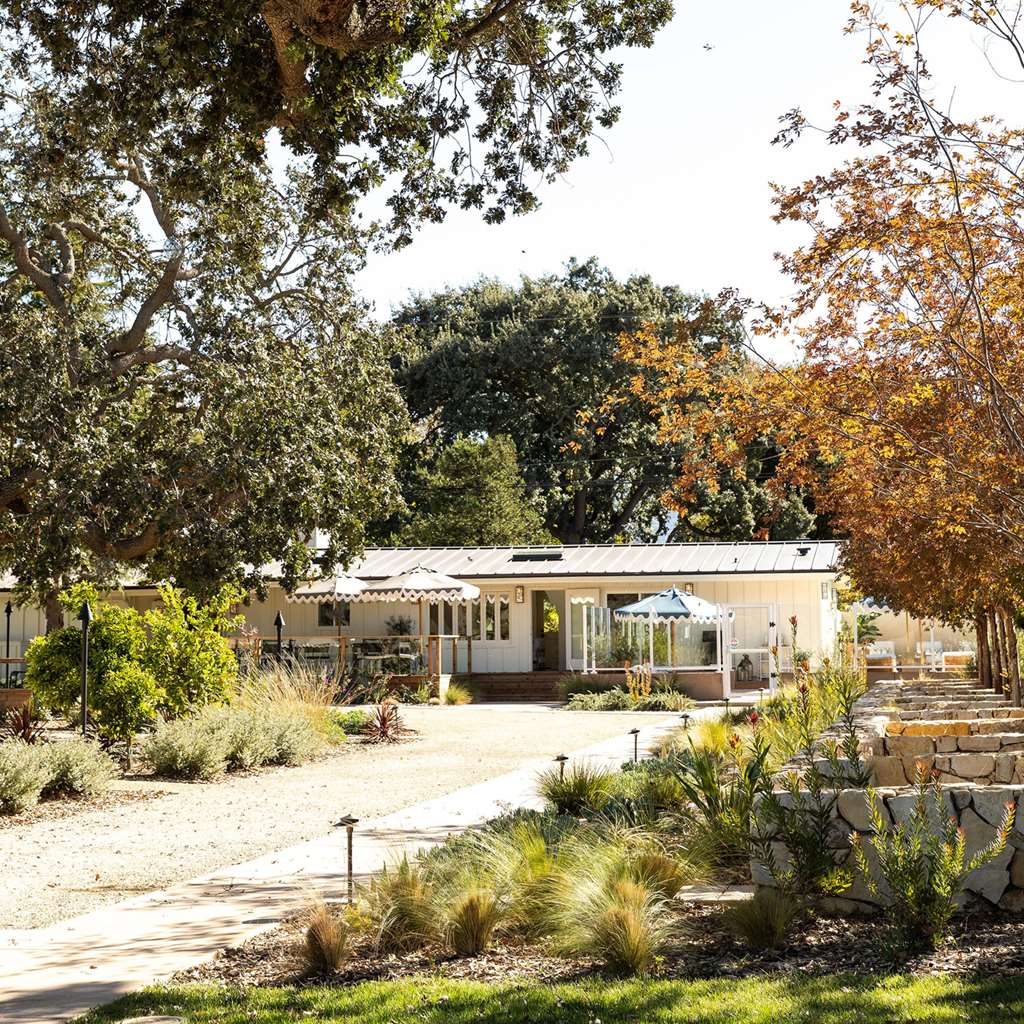 Hotel Ynez - photo 2