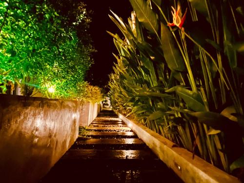 Moringa Mirissa - last minute hotel in Mirissa City