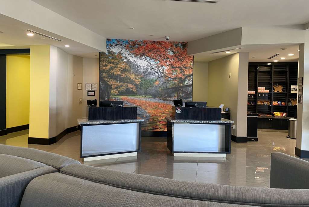 La Quinta Inn & Suites by Wyndham Lubbock Southwest - photo 3
