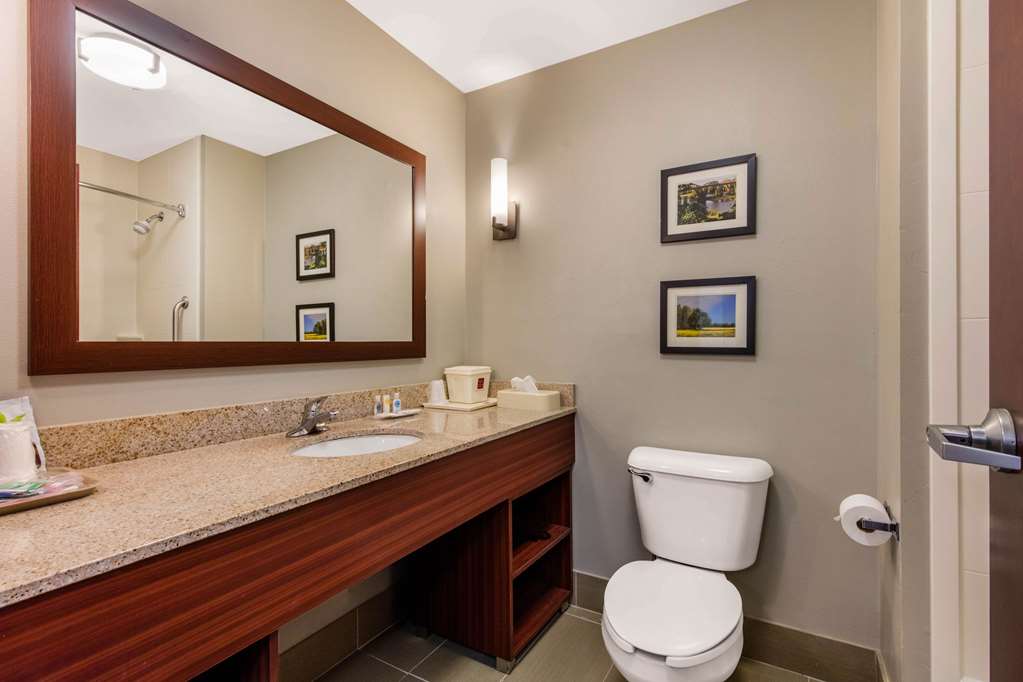 Comfort Suites Tuscaloosa near University - photo 26