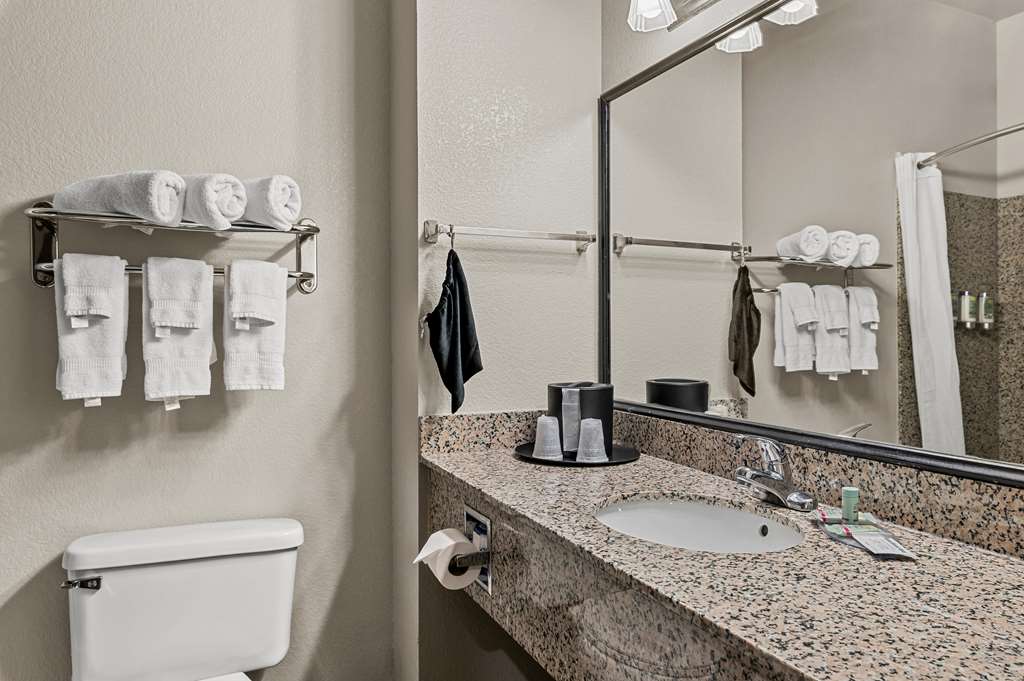 Best Western Sherwood Inn & Suites - photo 23