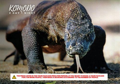 Komodo Tour 2D1N in Labuan Bajo, Indonesia