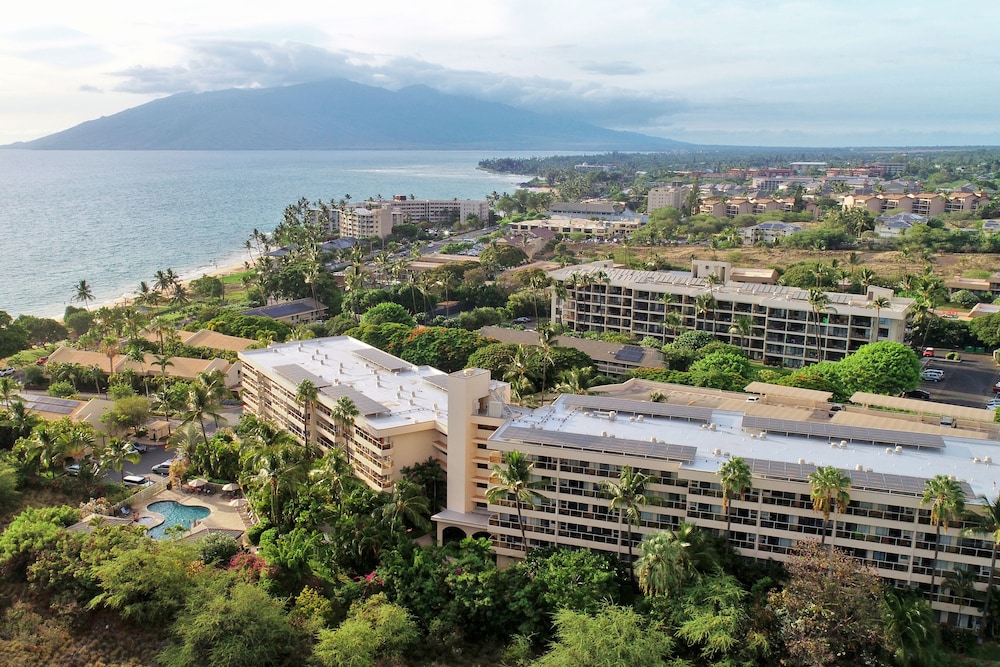 AEI at Maui Banyan - photo 23