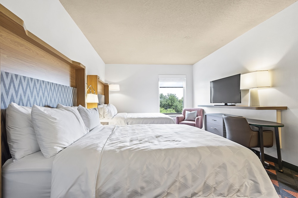 Holiday Inn St. Petersburg West by IHG - photo 24