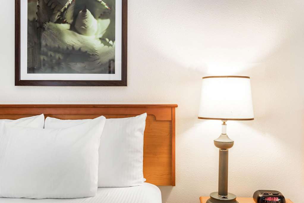 Baymont by Wyndham Orlando South - photo 7