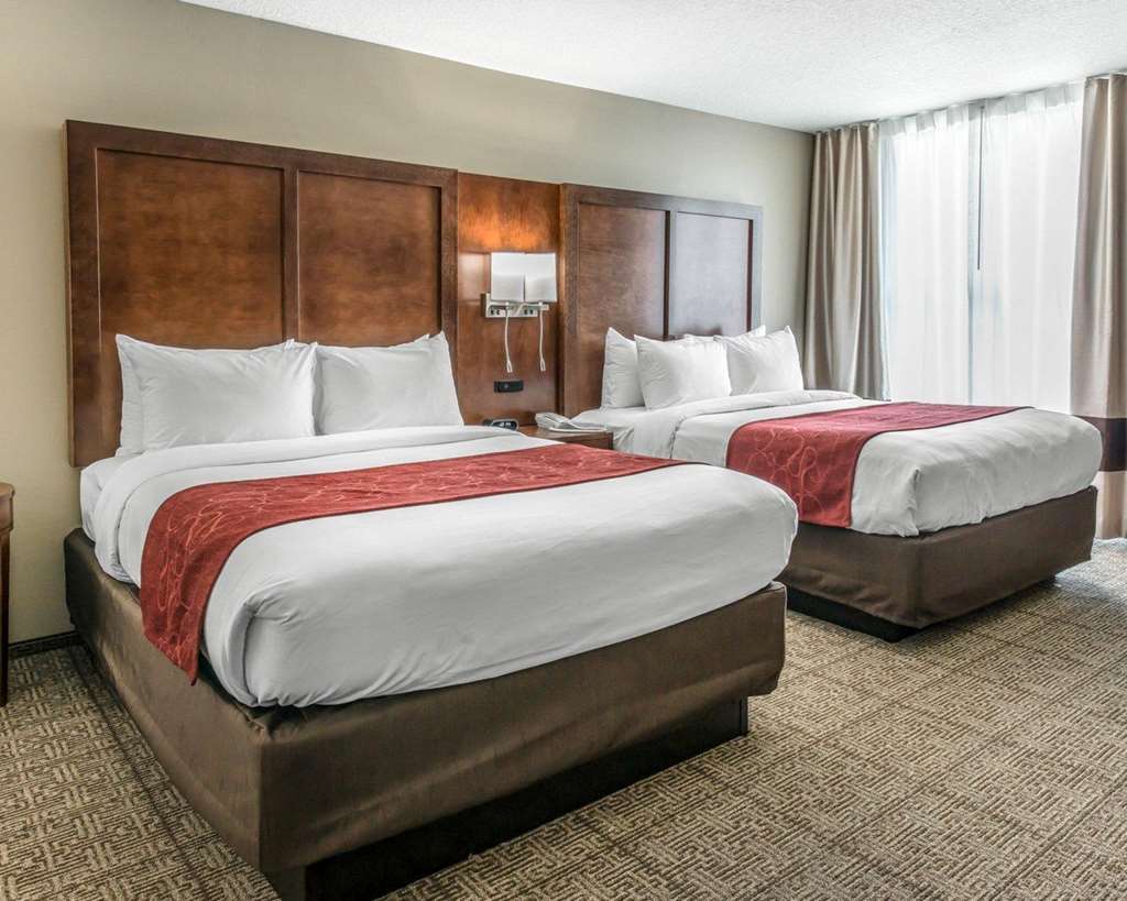 Comfort Suites Dunnellon near Rainbow Springs - photo 11