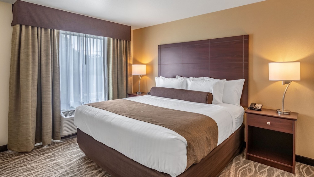 Cobblestone Hotel & Suites Hartford - photo 16