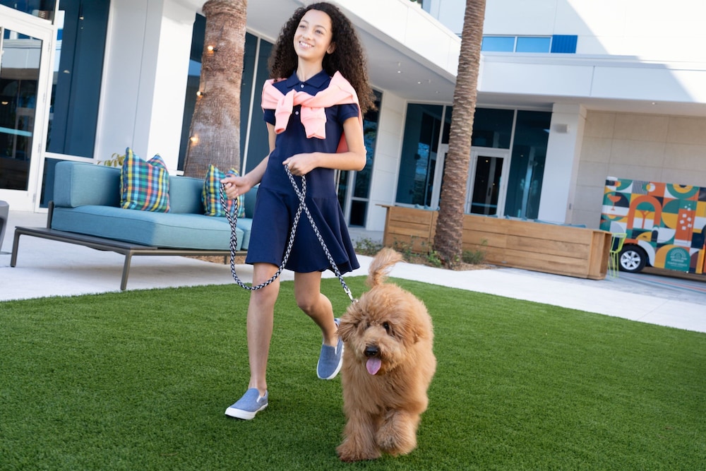 Aloft Orlando Lake Nona - photo 18