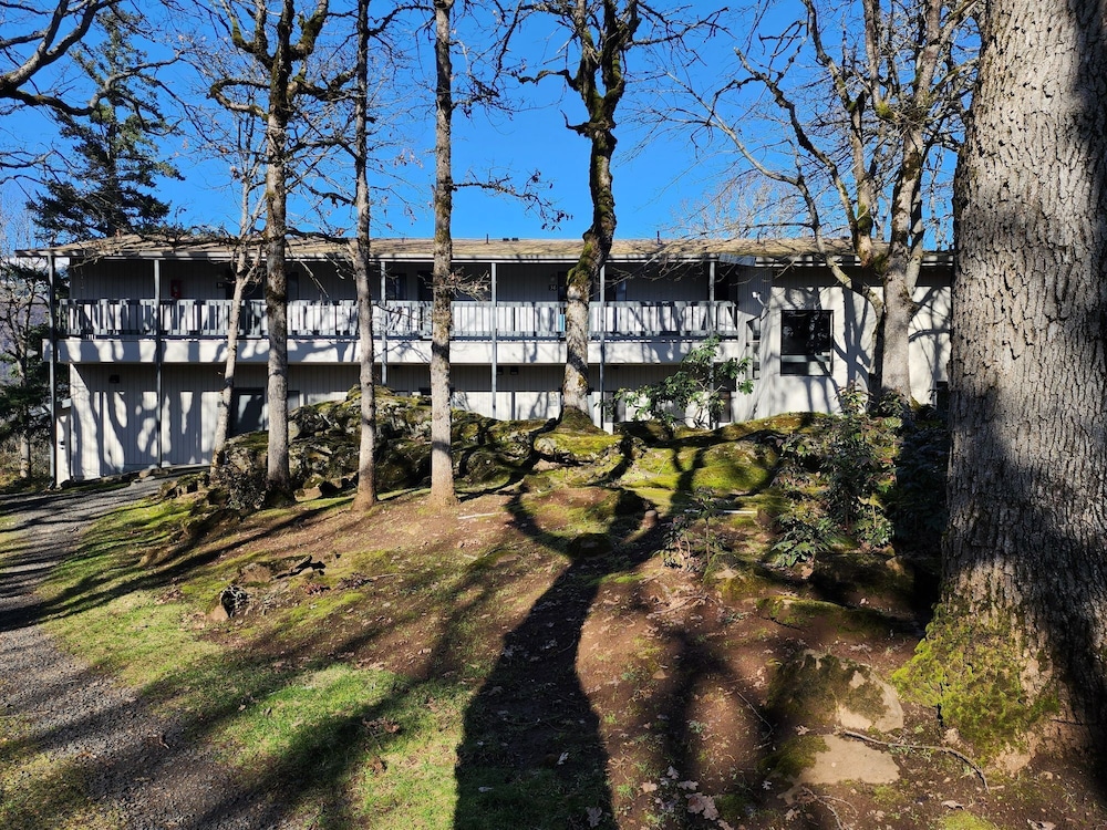 Westcliff Lodge - photo 47