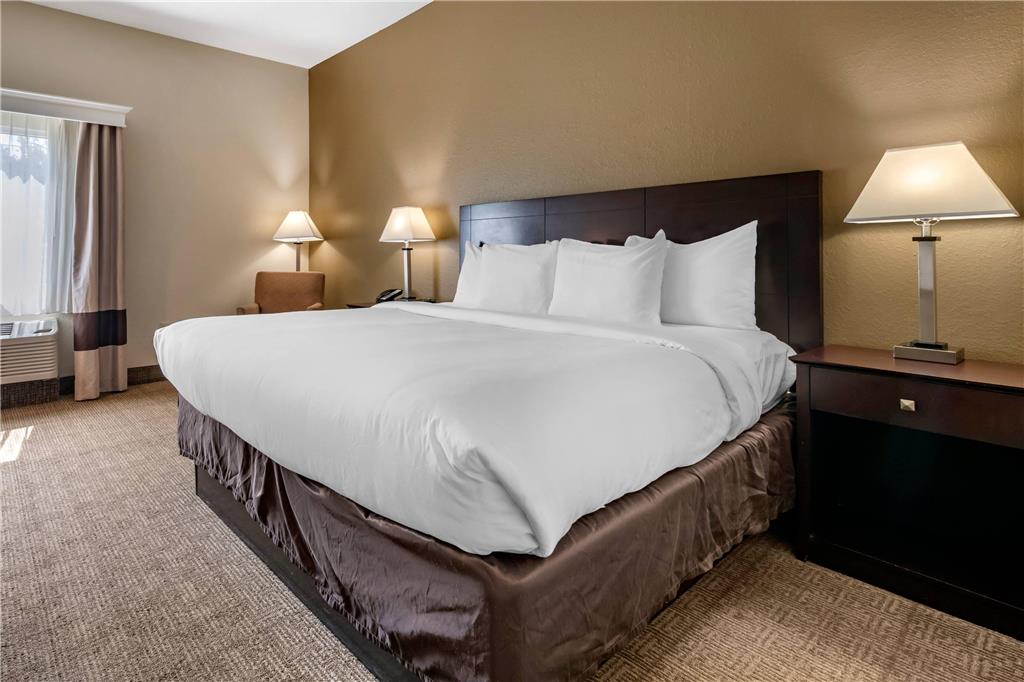 Comfort Inn & Suites DeLand near University - photo 12