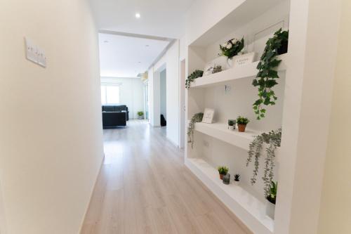 Wealthystays Olympias 2br Flat Nicosia Centre in Nicosia, Cyprus