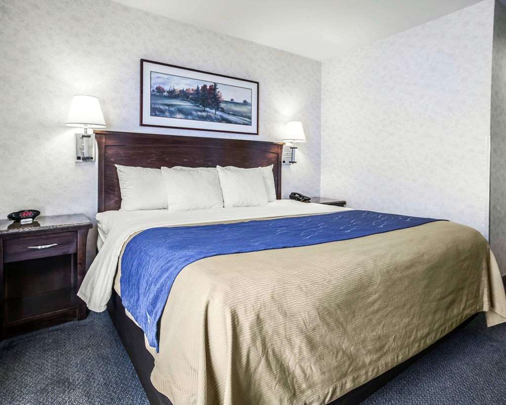 Comfort Inn Bellingham - photo 8