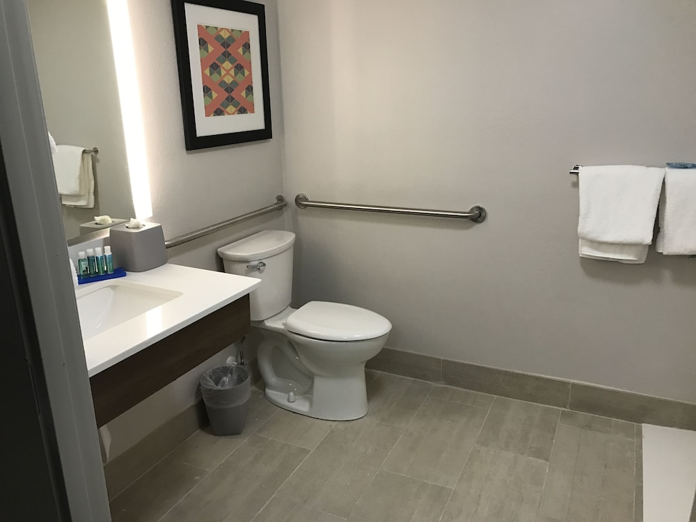 Holiday Inn Express Naples South I 75 by IHG - photo 19