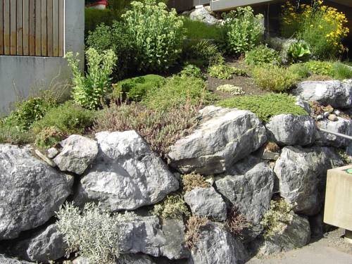 Broger Hildegard — Bezau — photo 5