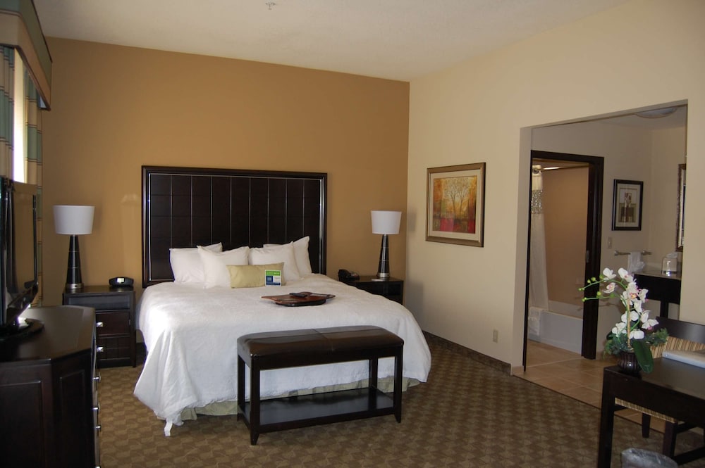 Hampton Inn & Suites McAlester - photo 13