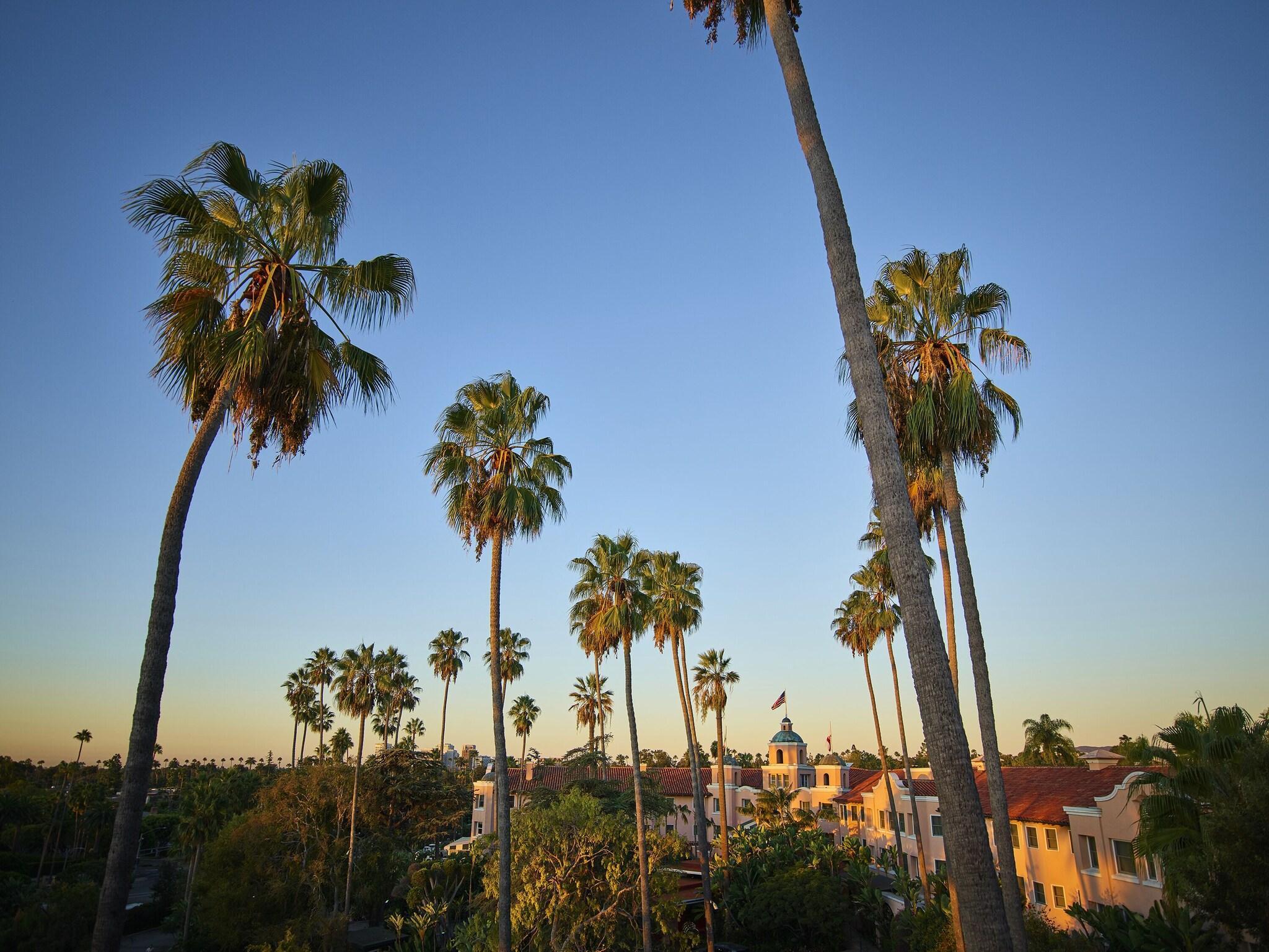 The Beverly Hills Hotel - photo 24