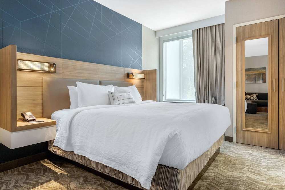 SpringHill Suites by Marriott Charlotte Southwest - photo 7